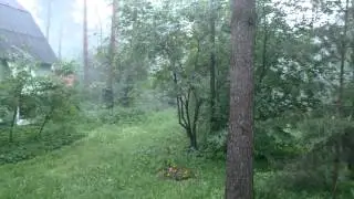 Молния попала в дерево / Lightning strikes a tree