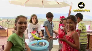 ANIMADORES para FIESTAS INFANTILES 👶🏽