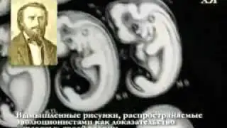 Вымышленные рисунки Геккеля.flv