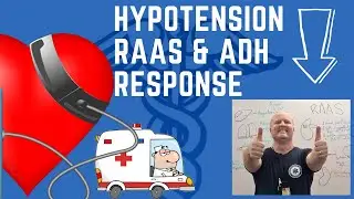Understanding RAAS and ADH in Hypotension Control