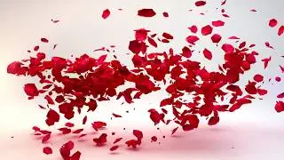 VIDEOS INTROS MARCOS SANTOS FOTOGRAFO