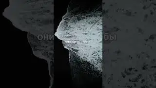 6 причин почему люди приходят в нашу жизнь #motivation #правдажизни