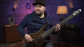 Ibanez GIO GSR206B WNF Walnut Flat