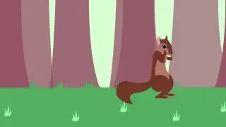 Adorable Squirrel