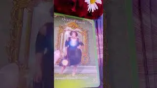 Истинный друг.🦋💫✨️🌟🫶✅️❤️❤️❤️