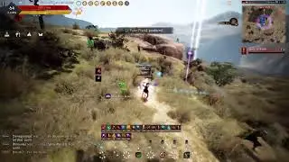 [Black Desert] Succession Maehwa - T4 Node War