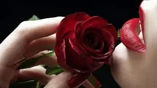 나미애-사랑한다고 말할 걸 그랬지