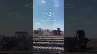 10 сентября 2023 г.