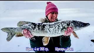 Вываживание щуки зимой