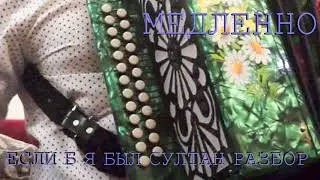 Если б я был султан / разбор на гармони 