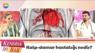 Kalp - damar hastalığı nedir?