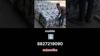 steel# unique show #youtube #video