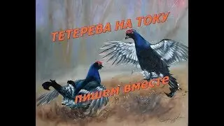 Картина маслом ТЕТЕРЕВА НА ТОКУ      РИСУЕМ ВМЕСТЕ