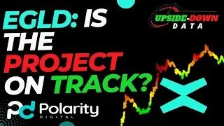 The Current State of MultiversX: Is the Project on Pace?