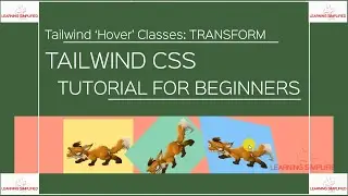 Tailwind CSS3 animation hover on Transform Properties - Part4