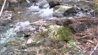 3156.mp4