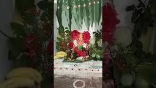 JAI BOLO GANESH MAHARAJ KI