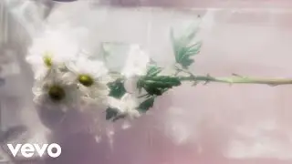 Lapili - Interludio 5: Canto Rugío