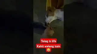 asong puyat 😂
