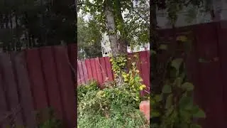 Лермонтово Совхозная