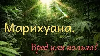 #Kannaway   МАРИХУАНА  Вред или польза?