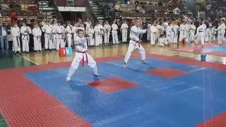 Kosolapov Ivan — Limanets Alexandr — Hyong — Taekwondo GTF/ITF 2016, may