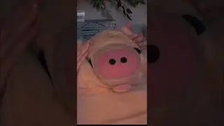 ASMR Pig Pamper 