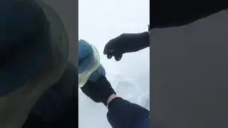 Карбид 