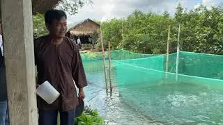 Cá lóc bay Nhà vườn Thành Tâm