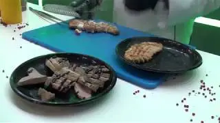 Выставка СУВИД 01