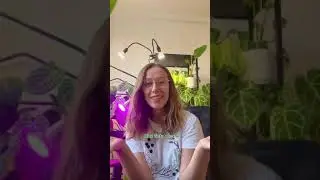 Je biely povlak na rastline pleseň? A ako sa jej zbaviť?