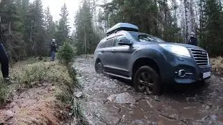Северный лес 18.2.2020