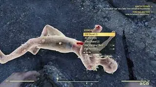 I play Fallout 76!