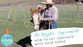 How to get unstuck with your horse