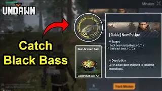 Catch Black Bass Undawn Guid / Cook beer braised bass / 