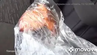104. Поездка в Кандалакшу (часть 1!