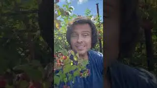 Прохор Шаляпин на даче у бабушки.