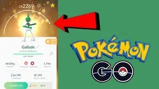 Pokémon Go! - LUCKY Gallade Evolution! Generation 4!
