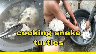 cooking snake turtles..buhay probinsya