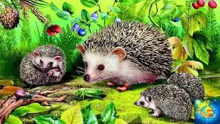 A QUIET FAIRY TALE. Samuil Marshak.