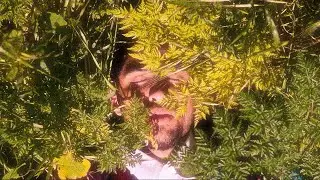 zion's journal - piece of heaven (official music video)