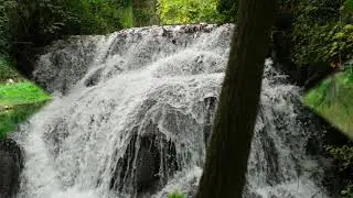 Fotos de: Zaragoza - Nuévalos - Parque Monasterio de Piedra