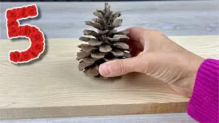 5 Amazing DIY Ideas With Pine Cones!