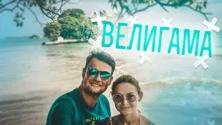 ШРИ-ЛАНКА. Что посмотреть в районе ВЕЛИГАМА на Шри-Ланке? РЫБНЫЙ РЫНОК и ЦЕНЫ на морепродукты
