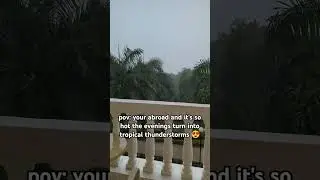 This is my favourite thing about hot countries 😍 #tropicalrain #holiday #thunderstorm