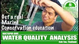 How to do a Water Quality Analysis (demo) - Learn Real Marine Conservation Processes with Roctopus