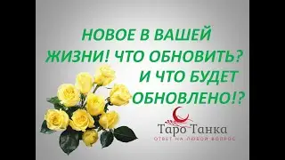 НОВОЕ В ВАШЕЙ ЖИЗНИ. ЧТО ОБНОВИТЬ И ЧТО ОБЯЗАТЕЛЬНО БУДЕТ ОБНОВЛЕНО.