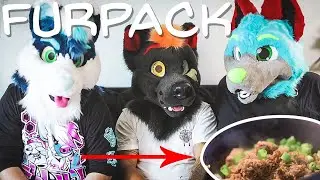 fried rice except it's cooked by dumb furries