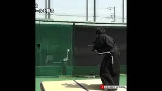 vine baseball