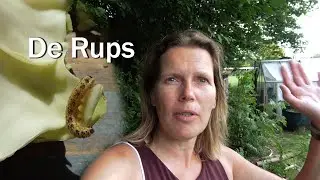 De Rups - Juf in de natuur